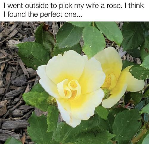 06:12:42 GMT-0600 (MDT).image