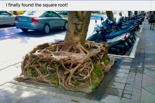 AF64C016-E454-411F-AB3D-69150DD4B9AC