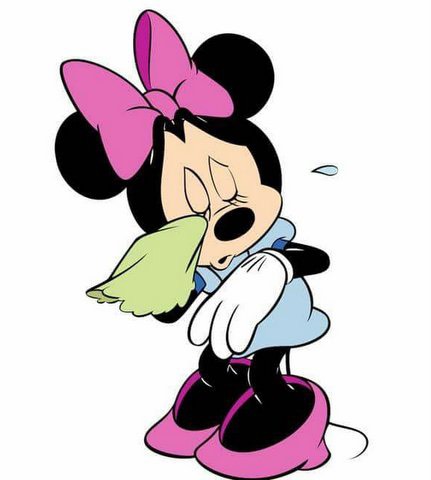 Was Minnie Mouse a female?