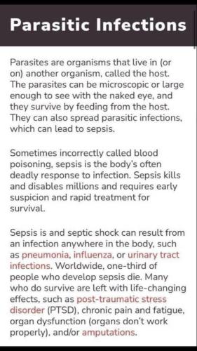 b4ebc130-5a30-41fe-ba27-72f2685af091