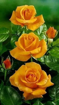 09:48:55 GMT-0500 (CDT)