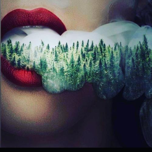 b8313e12-2744-4af6-99ce-8080bccff4cb