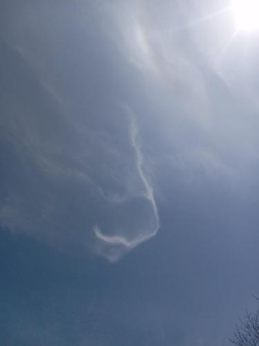 1db55b54-e70a-4c3b-9ba1-b84b38fd5d30