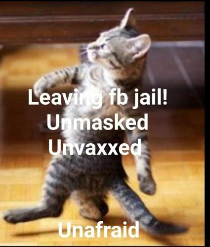 8fca1d74-1be1-4f4c-a028-72cb0e74574c