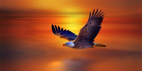 1671e81f-08e6-4a77-b1af-b3c3604a280d