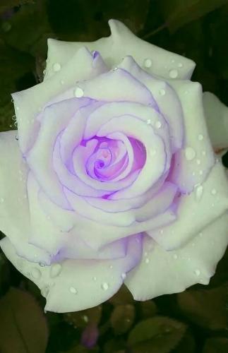 20:12:50 GMT-0500 (CDT)