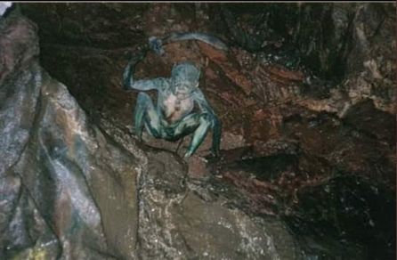 Screen Shot 2021-07-27 at 12.51.17 PM