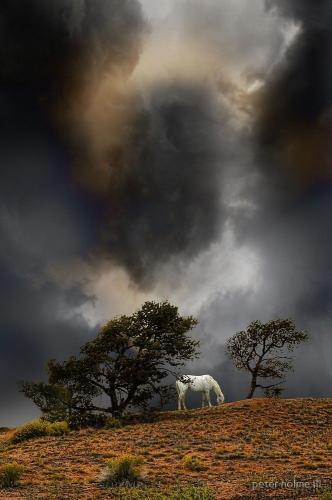 20:19:58 GMT-0500 (CDT)