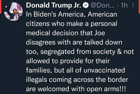 Biden Illegals 1