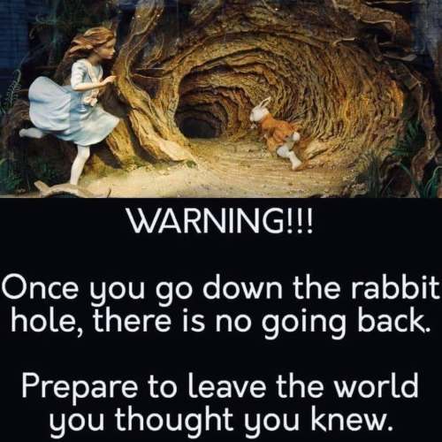 Rabbit Hole