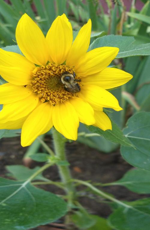 48f47f63-5312-400f-906b-e435a0c2c9e6