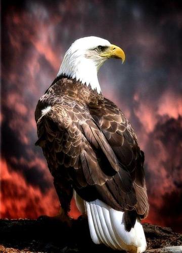 20:54:12 GMT-0500 (CDT)