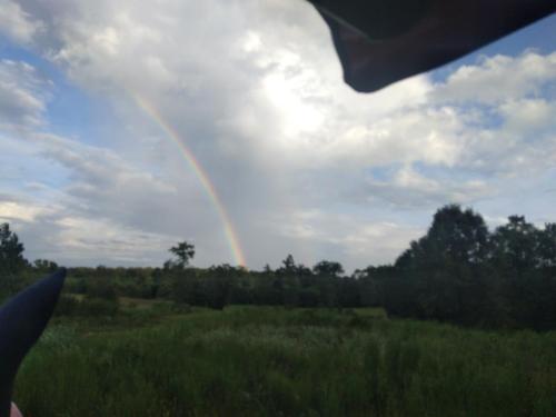 dde1ceed-9d9d-4f23-a8a8-fa91763c78c3