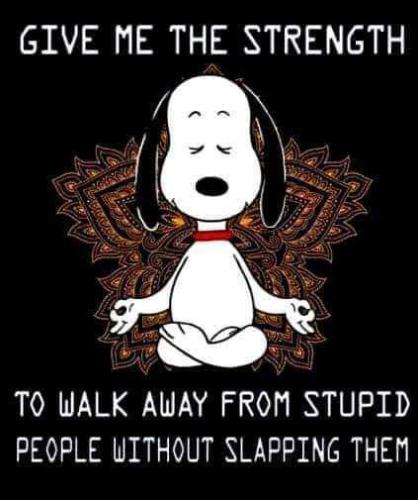 1fa516f2-45b8-4e9d-b8d3-c19b81cbdb07