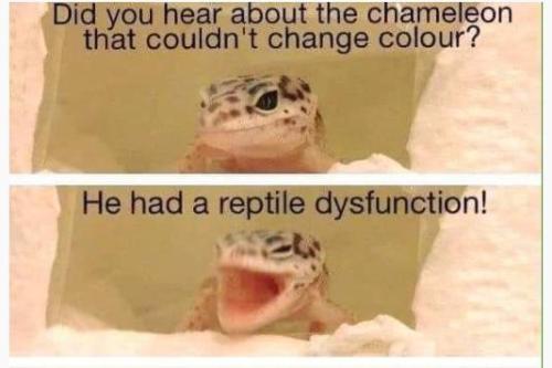 63044b58-dc17-4f25-9ac7-b64f9c3c2a5a