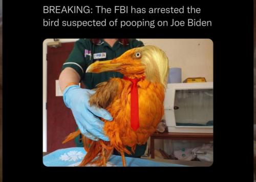 e84c72b5-854c-4dca-a5a6-9c1c3123ace7