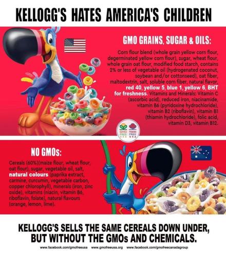 278335188_5427027560665259_2702671504258315324_n