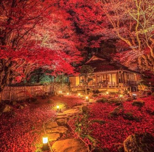 278769487_509471954140614_6193246220227330377_n