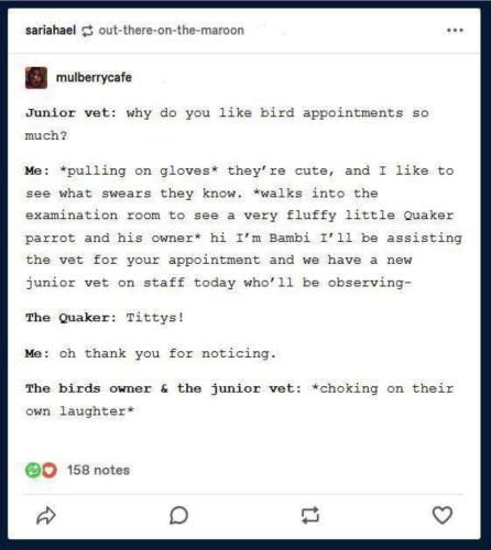 15:17:03 GMT-0500 (CDT).image