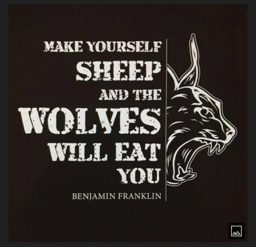 523a8c70-102c-4fc8-9845-af06686f3b5d