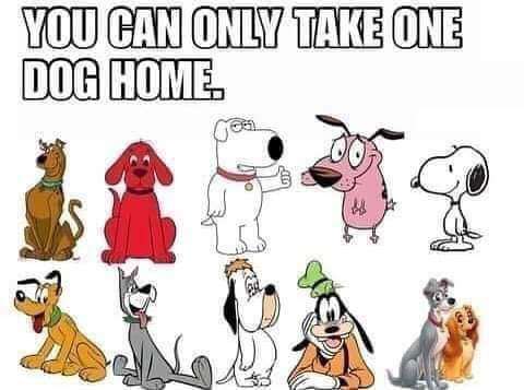 d5fa1807-39b1-4f4c-b4ac-8965964a4c4e