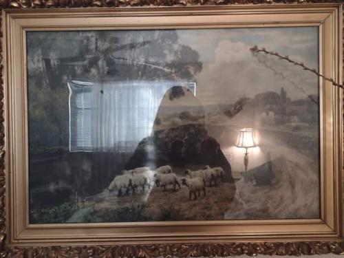 55a8c31b-24ce-4b89-be11-a3861b327296