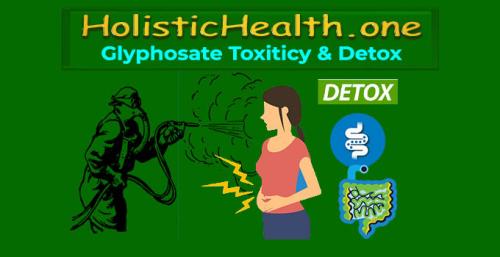 HolisticHealth.one - Glyphosate Toxicity