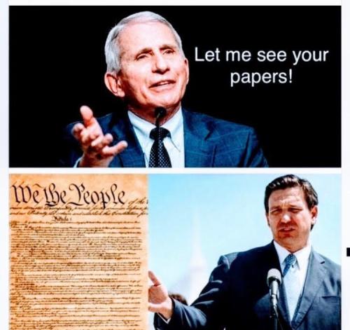 E407B19D-C5FD-4584-8874-25D439E8EDA2