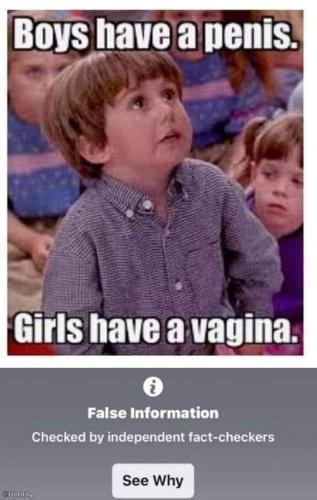 012e3d66-32a1-40d2-a901-d30fb2101874