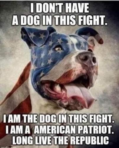 a067cdd6-9e17-43f5-9823-b4179e6a2ab7