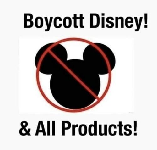 b584c135-f27f-496e-acb8-7caeca521e9b