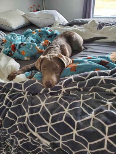 591b6a54-bfae-4ace-b91d-5c6da8446bb6