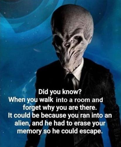 278218859_5375882309102916_8327187946494831103_n