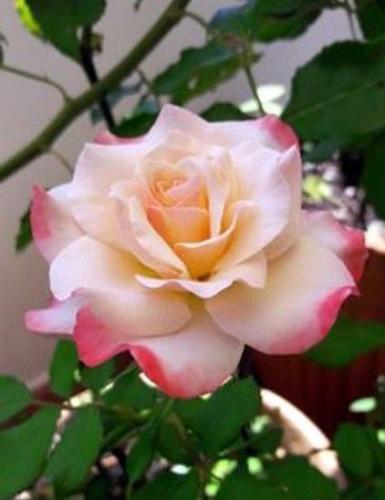 12:49:22 GMT-0500 (CDT)