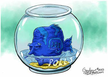 8af3b12f-2082-4873-a6c5-4959b7ce8c11