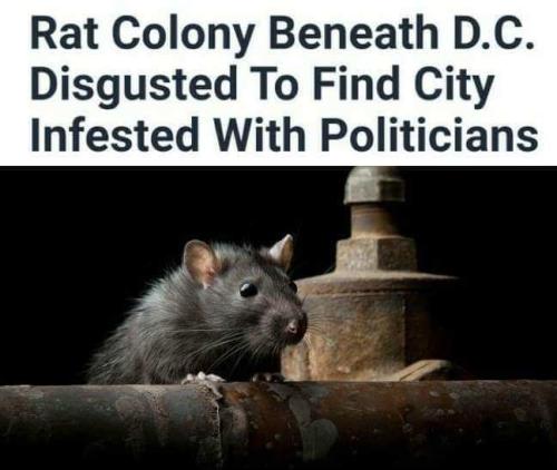 51513fb7-2518-4b18-9f73-169c94d0ac66