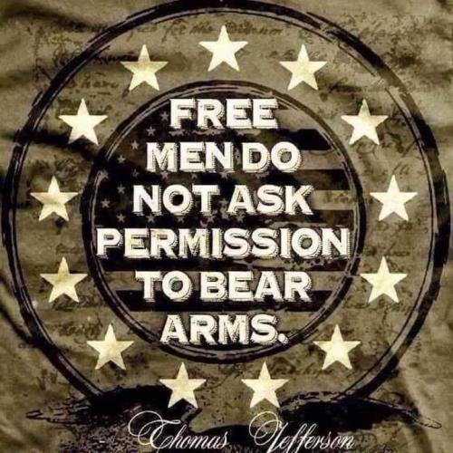 Bear Arms 1