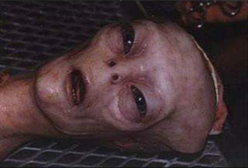 Screen Shot 2021-07-27 at 12.43.27 PM