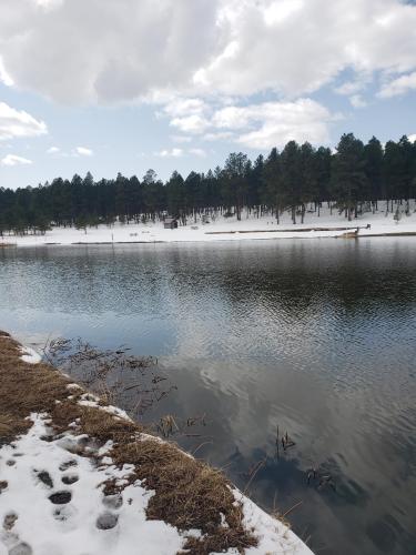 d84e0a29-c553-4299-9daa-2e80262f3b8b