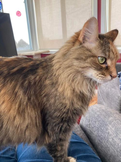 a291f28a-6f8f-4ab4-93f3-d41973b26697