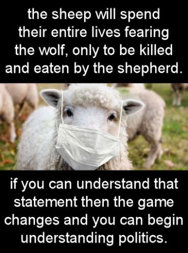 understanding politics00