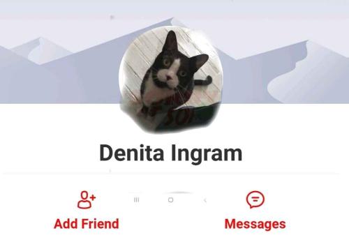 e91187bc-2cd5-4d01-af46-c25a1b44ca02