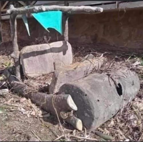 272027370_10216096438643124_1316137400363264341_n