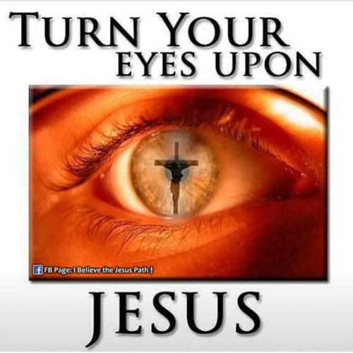 d85ca781-aa61-497e-9361-9e266063d5d0