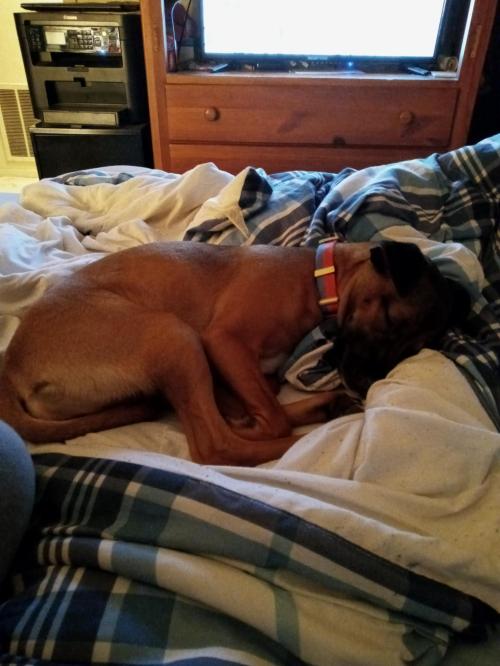 f9fee757-694b-400b-b2f9-9f04aca2c8c8