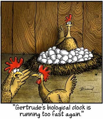 278838445_10159677675020767_4494491226163996014_n