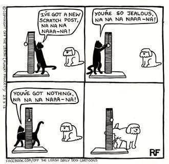 277730699_3059384824391802_5608885810024459197_n