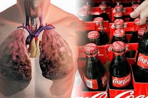 ,                                                                                                                                                                                                                          0 0