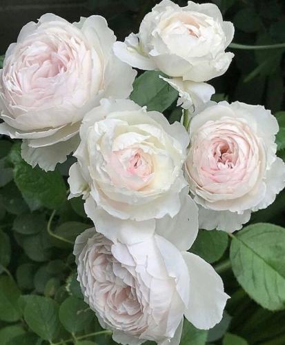 09:21:11 GMT-0500 (CDT)