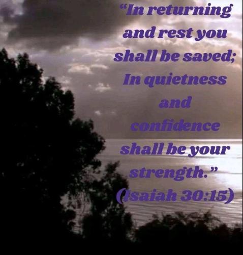 76069a28-12be-44d8-ab75-b001b26ace23